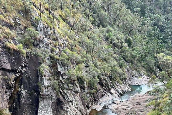 Scenic Rim Explorer: Mount Tamborine Glow Worms, Waterfalls & Gallery Walk photo 5