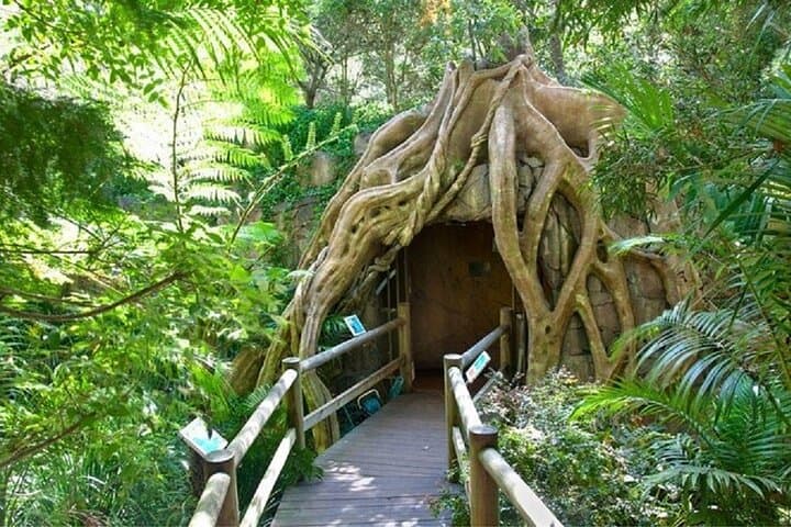 Scenic Rim Explorer: Mount Tamborine Glow Worms, Waterfalls & Gallery Walk photo 3