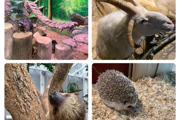 Family Day at Grandview Aquarium & Rain Forest Zoo — Guangzhou Adventure photo 6