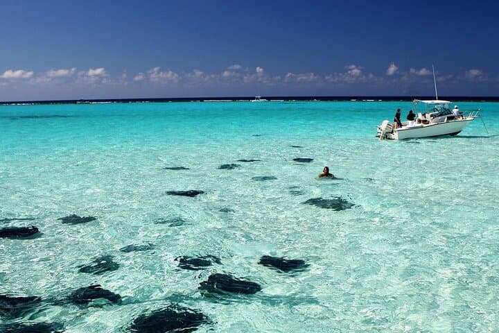 Stingray City & Grand Cayman Reef Snorkel — Half-Day Boat Adventure from George Town photo 5
