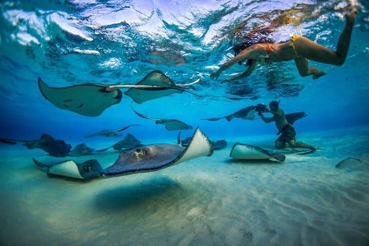 Stingray City & Grand Cayman Reef Snorkel — Half-Day Boat Adventure from George Town photo 2