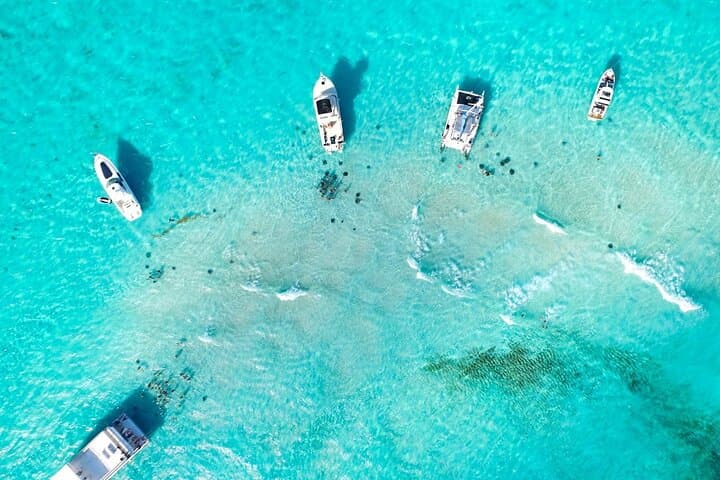 Stingray City & Cayman Reefs: 3-Stop Snorkel Adventure from Grand Cayman photo 5