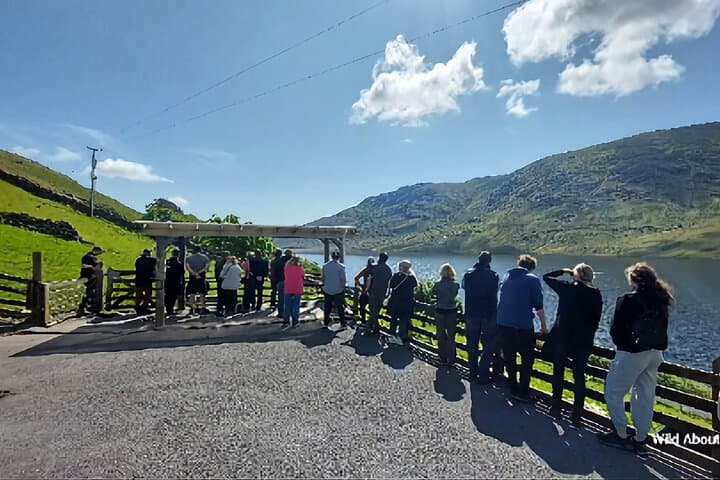 Private Connemara Day Tour: Kylemore Abbey, Twelve Bens & Working Sheep Farm