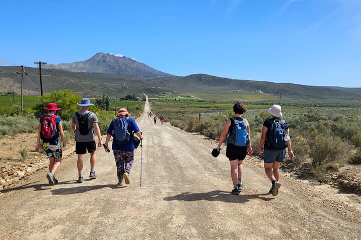 Fossil Hills Wine Walk: 3-Day Guided Hikes, Tastings & Fossils in McGregor photo 2