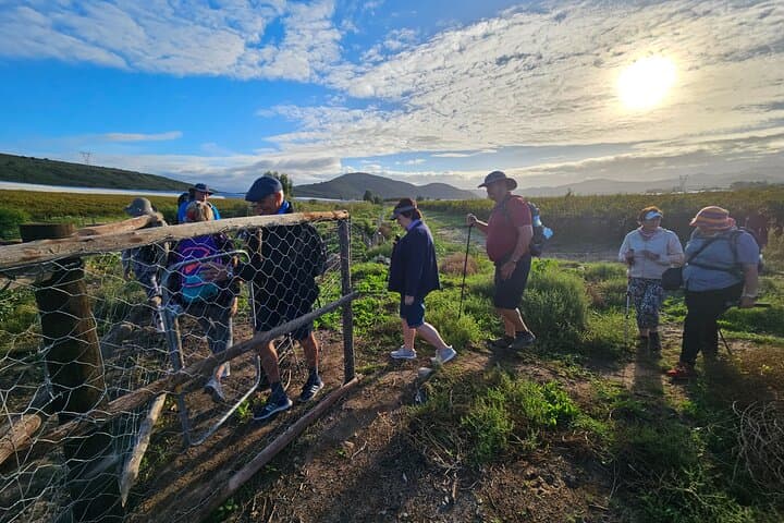 Fossil Hills Wine Walk: 3-Day Guided Hikes, Tastings & Fossils in McGregor photo 3