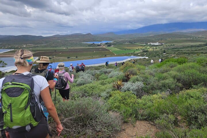 Fossil Hills Wine Walk: 3-Day Guided Hikes, Tastings & Fossils in McGregor photo 4