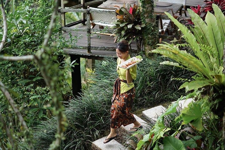 Ubud Full-Day Tour: Tegalalang Rice Terraces, Monkey Forest & Bali Swing photo 5