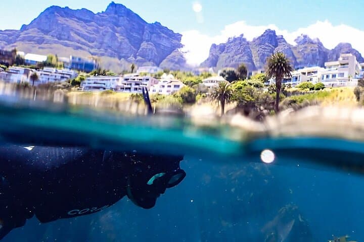 Snorkel the Great African Sea Forest: Kelp Forest Snorkeling in Cape Town photo 1