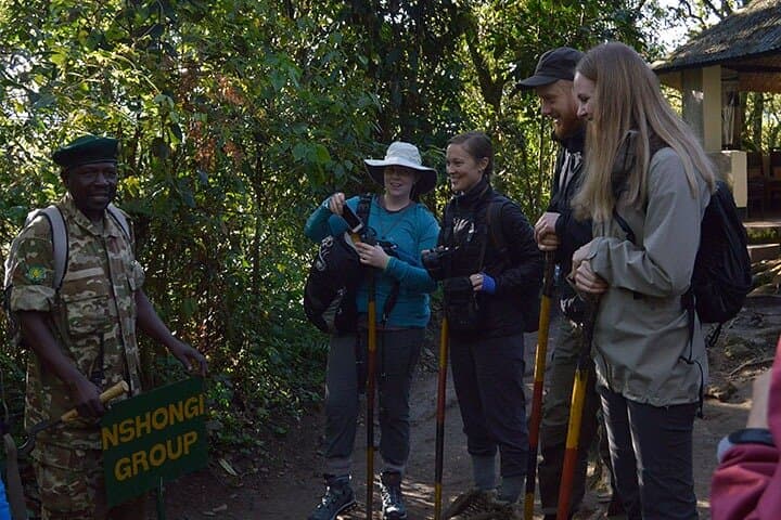 Gorilla Tracking in Bwindi: 2-Day Trek from Kigali to Mountain Gorillas