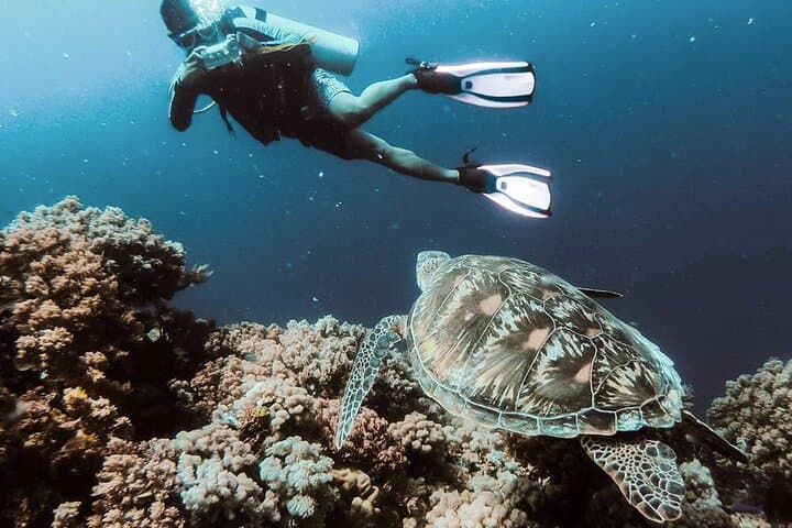 Alanya Scuba Diving: Two Dives, Full-Day Boat Trip From Alanya photo 3