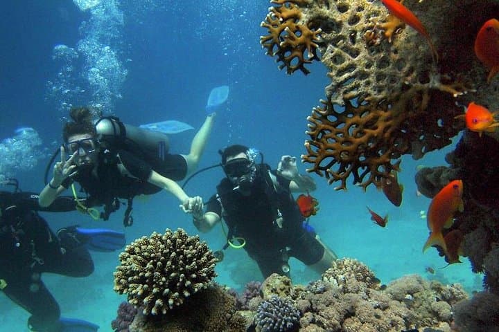 Alanya Scuba Diving: Two Dives, Full-Day Boat Trip From Alanya photo 4