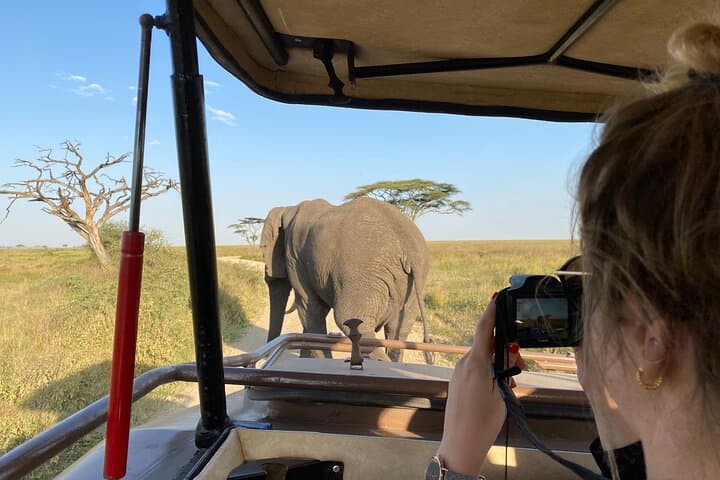 3-Day Private Budget Safari to Tarangire & Ngorongoro Crater photo 1