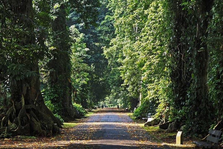 Bogor Botanical Garden & Miniature Indonesia: Full-Day Park and Reptile Tour photo 2