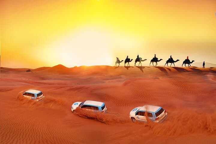 Private Doha Desert Adventure: Half-Day Khor Al Udaid Safari & Dune Bashing