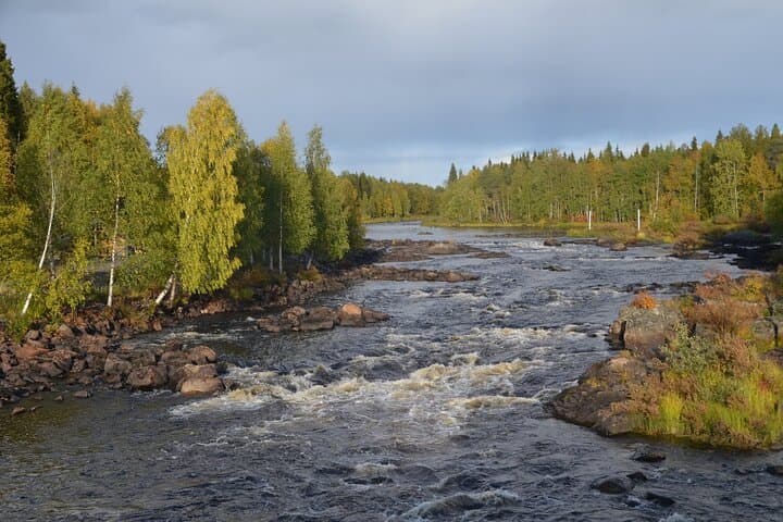 Arctic Wilderness Hike and Fire-making Near Rovaniemi photo 4
