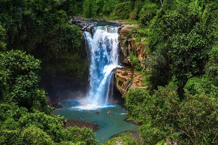 Best of Ubud: Full-Day Private Tour to Waterfall, Temple, Coffee & Rice Terraces photo 3