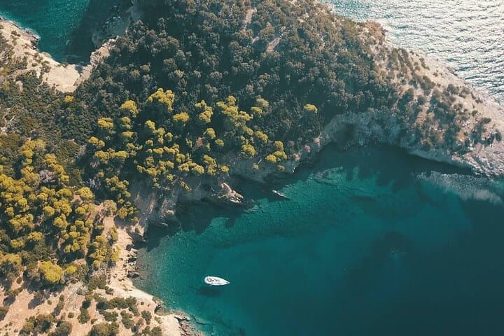 Private Full-Day Sailing Trip from Porto Carras to Kelyfos (Turtle) Island photo 2