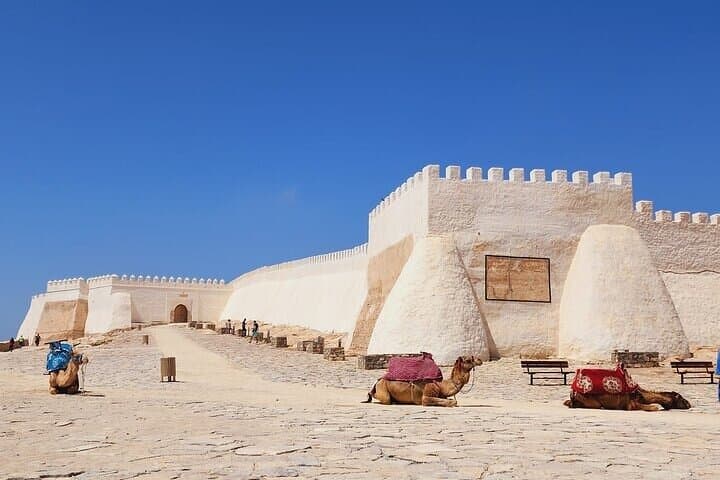 Agadir City Tour — Harbor Life, Argan Oil & Oufella Panorama photo 5