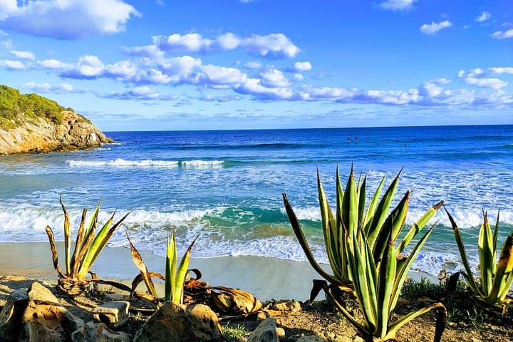 East and North Coast Ibiza Day Tour: Cala Beaches, Can Marça Cave & Benirras Sunset photo 4