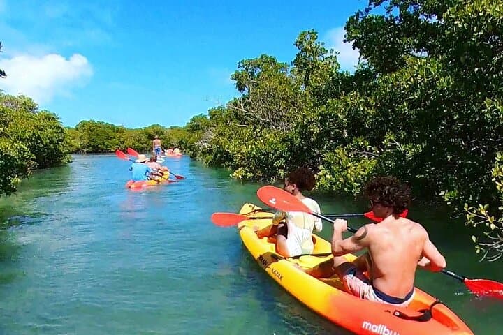 Key West Sandbar & Mangrove Kayak Combo — Sandbar Charter with Lunch and Drinks photo 4
