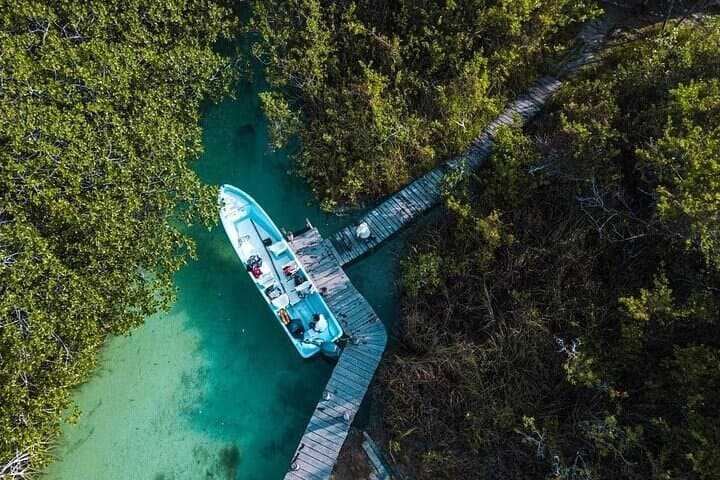 Sian Ka'an Biosphere and Muyil Mayan Ruins Day Tour from Tulum photo 2