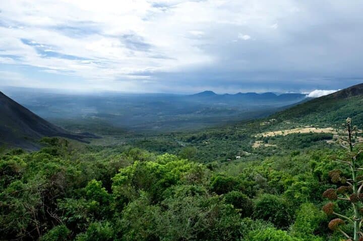 Santa Ana Volcano & Lake Coatepeque: Private Day Tour from Santa Ana photo 4