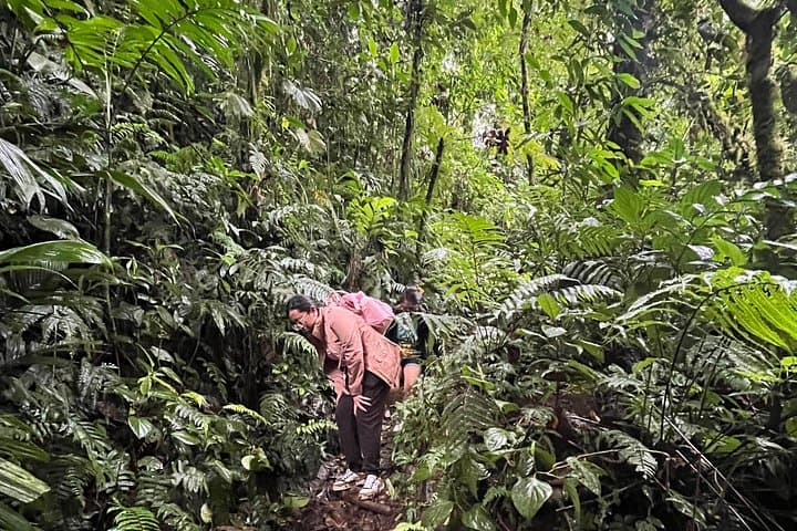 Hike to La Poza: Hidden Swimming Hole Near La Fortuna Waterfall photo 2