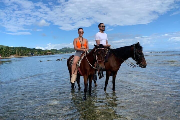 Roatán Sloth and Horseback Riding Adventure: Jungle Trails to Ocean Views photo 5