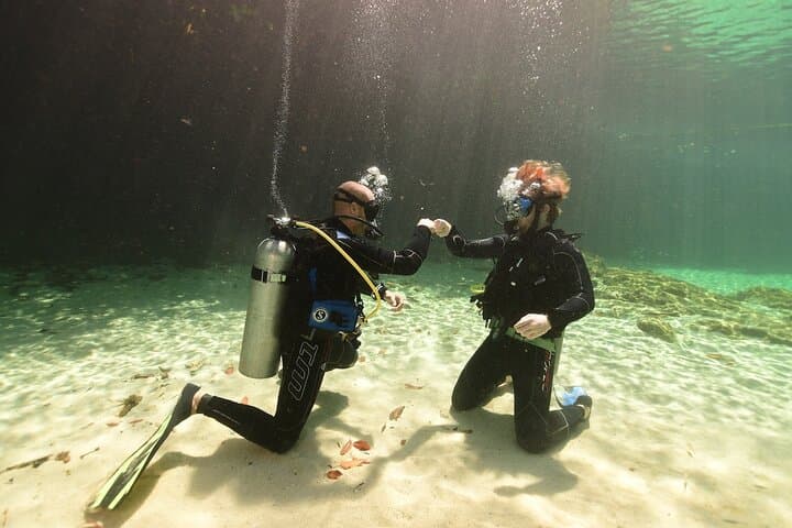 Into the Cenote: Discover Scuba Diving in Tulum's Underwater Caves photo 6