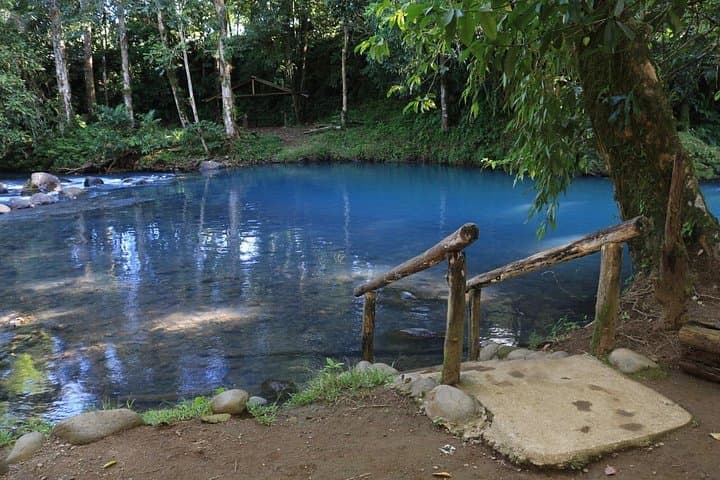 Rio Celeste Waterfall Swim and Lunch from La Fortuna — Guided Hike to Tenorio's Turquoise Pool photo 2