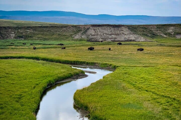 Explore Yellowstone’s Lower Loop: Private Guided Tour of Iconic Geysers and Wildlife photo 2