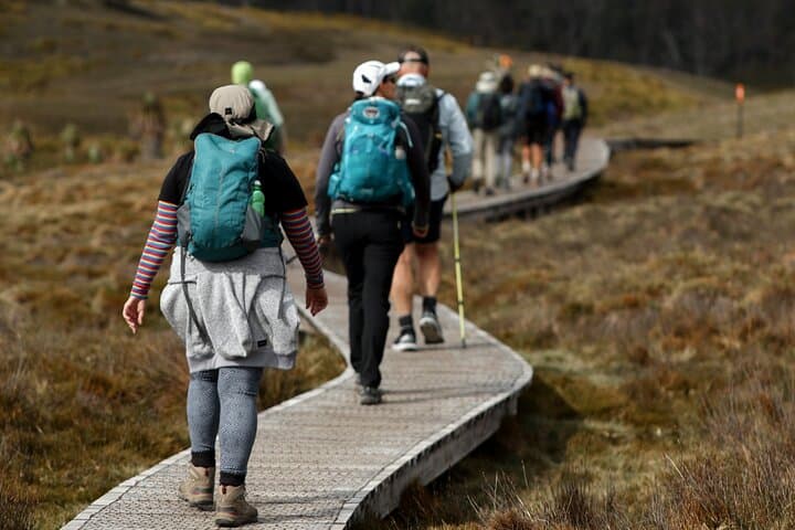 4-Day Cradle Mountain Hiking Tour — Dove Lake, Marion's Lookout & Overland Track photo 6