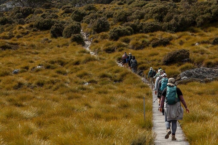 4-Day Cradle Mountain Hiking Tour — Dove Lake, Marion's Lookout & Overland Track photo 2