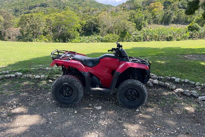 Ride and Rev: ATV and Horseback Swim Adventure in Montego Bay photo 4