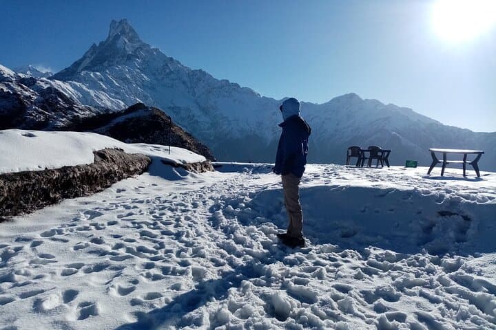4-Day Private Mardi Himal Base Camp Trek from Pokhara