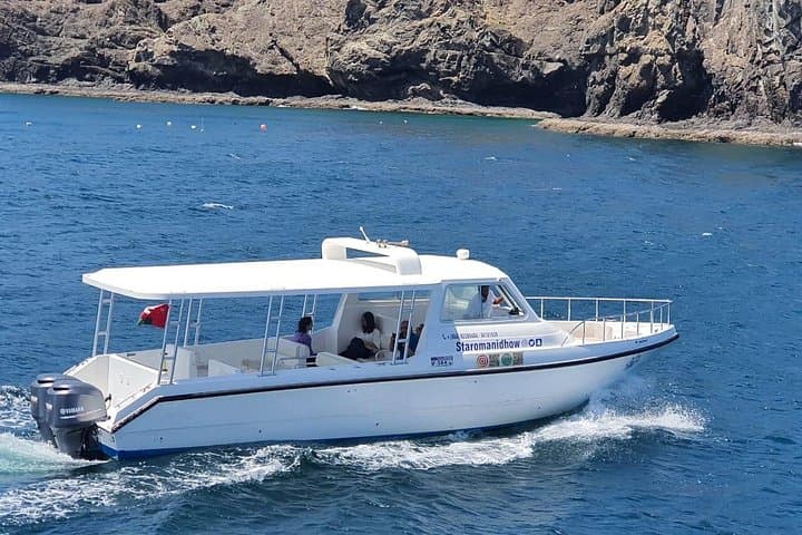 Muscat Dolphin-Watching Cruise — 2-Hour Boat Trip to See Wild Dolphins photo 3