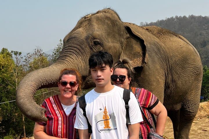 Chiang Mai Ethical Elephant Experience: 1-Day Eco Tour