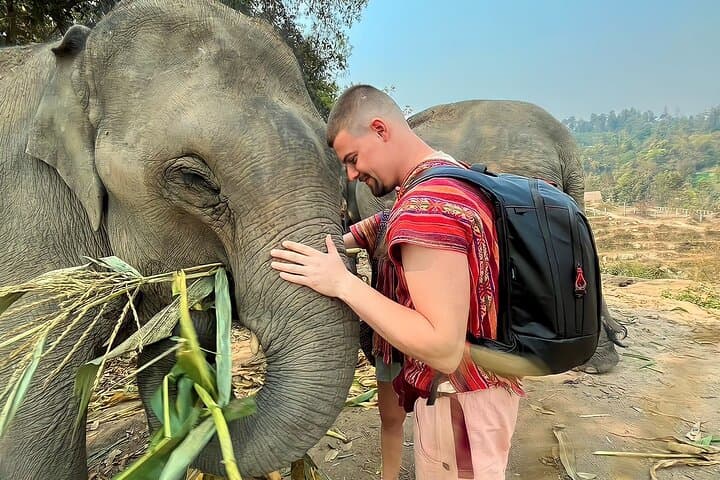 Chiang Mai Ethical Elephant Experience: 1-Day Eco Tour photo 2