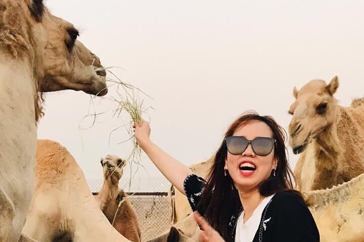 Morning Red Dune Safari Dubai: Sandboarding, Dune Bashing & Camel Ride photo 4