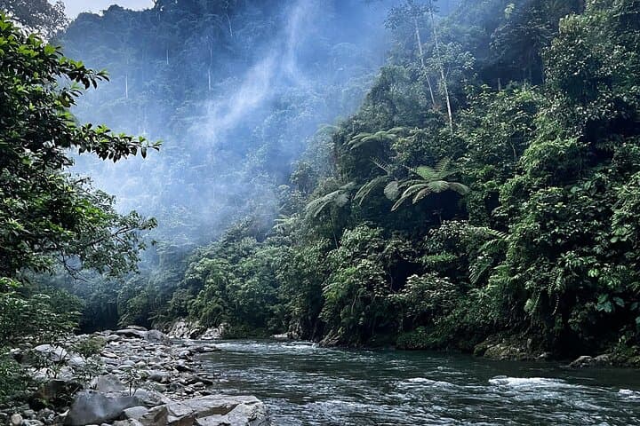 4-Day Jungle Adventure: 2-Day Orangutan Trek in Bukit Lawang photo 4