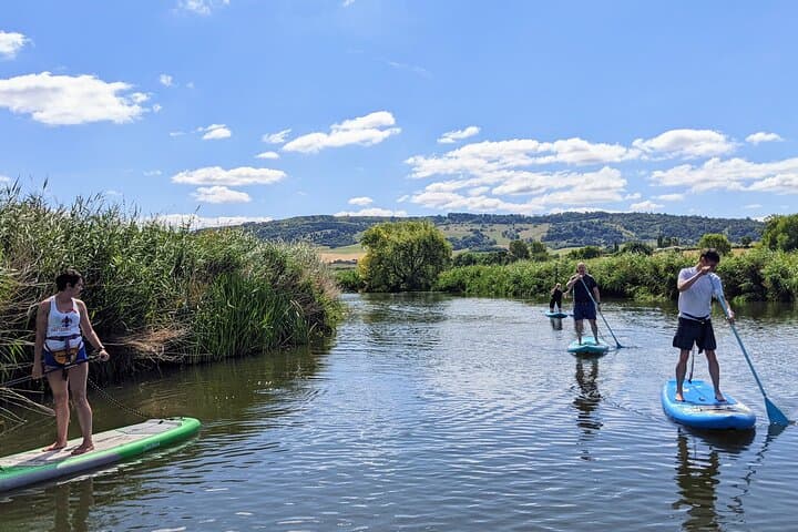 Beginner SUP Safari on the River Avon: Learn to Paddle & Spot Wildlife