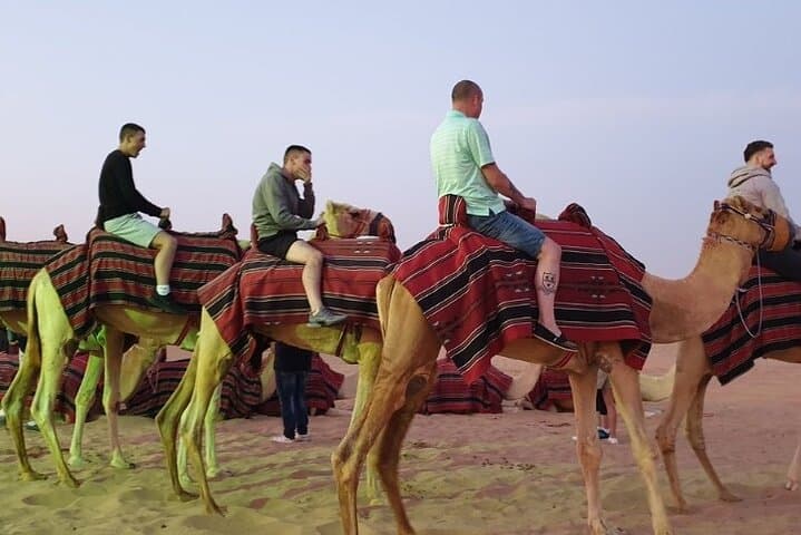Private Dubai Sunrise: Red Dune Bashing & Camel Ride at Lahbab Desert photo 4