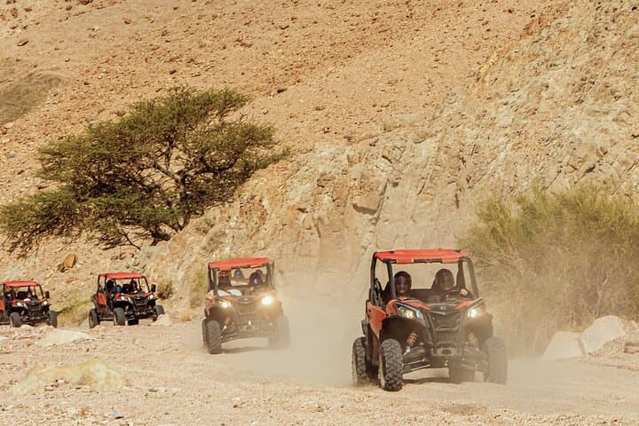 Self-Drive Aqaba UTV Quad Tour Through Canyons and Sandy Riverbeds