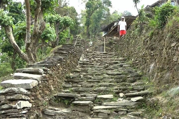 Dhampus Easy Trek from Pokhara: Family-Friendly 2-Day Sunrise Hike photo 4