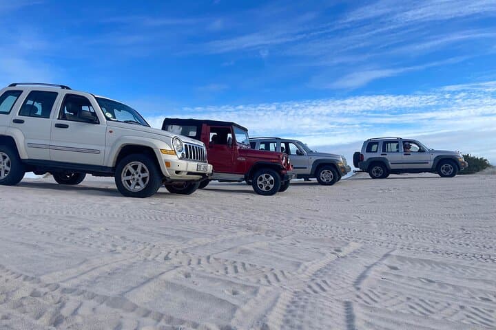 Jeep 4x4 Adventure on Atlantis White Sand Dunes, Cape Town photo 3