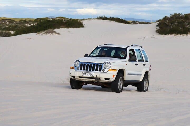 Jeep 4x4 Adventure on Atlantis White Sand Dunes, Cape Town photo 5