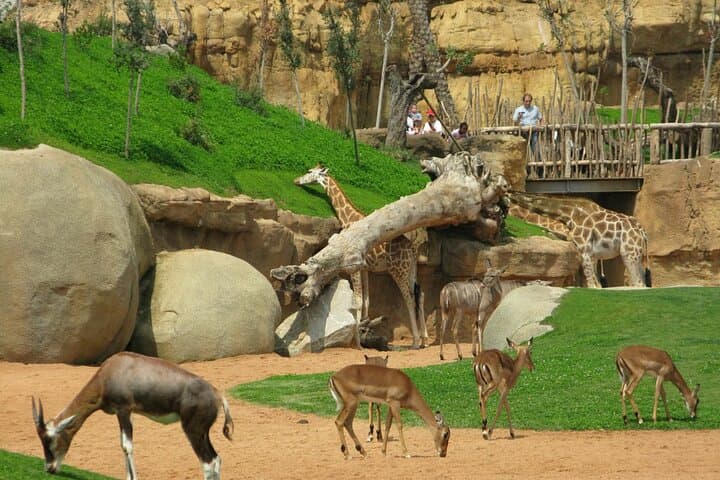 All-Inclusive Abuja City Tour — Zuma Rock, Arts Village & Jabi Lake photo 3