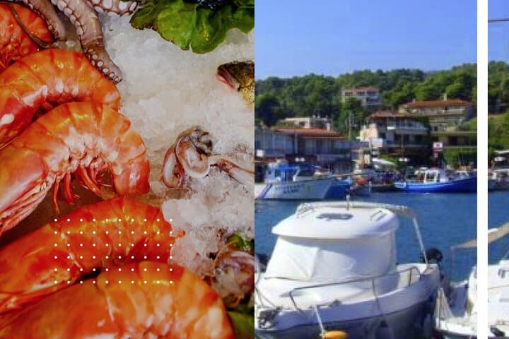 Evia Island Road Trip Food Tour from Chalkida to Kymi photo 2