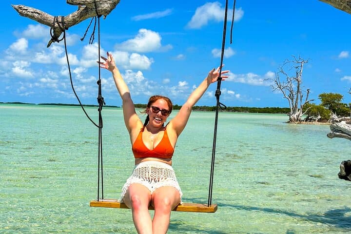 Full-Day Key West Snorkel Charter: Sandbar, Reefs & Eco Safari photo 6