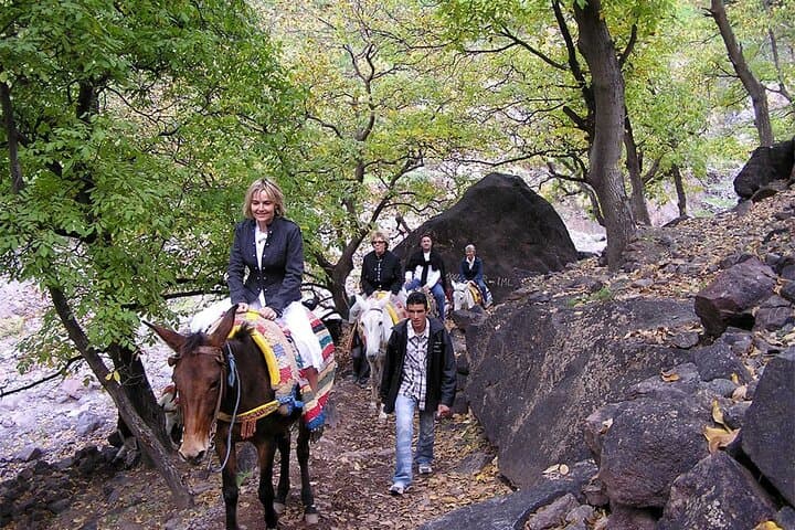 Imlil Valley Day Hike: Atlas Mountains Berber Villages & Traditional Lunch photo 5